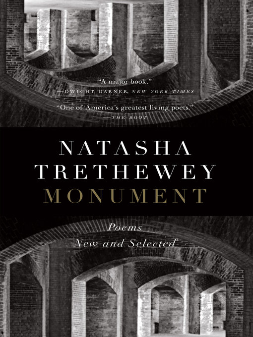Cover image for Monument